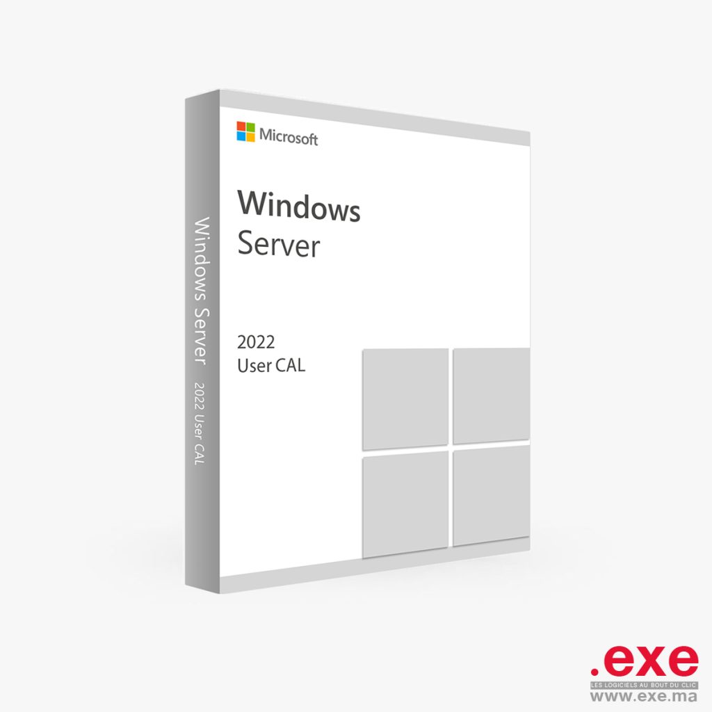 Windows Server 2022 - Édition Standard - 64 Bits - Logiciels et ...